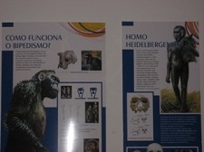 No Barreiro Exposição “(R)Evolução da Vida” na Cooperativa Cultural Popular Barreirense