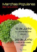 Marchas Populares no Barreiro Desfile no Parque da Cidade . Dia 26 de Junho