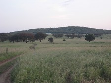 Casa do Alentejo Assembleia Geral analisa Plano de Actividades e Orçamento 2011