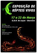 «Os Leças» do Barreiro recebe exposição de répteis O Perigo e a Beleza de mãos dadas