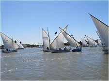 Regata Comemorativa do 24.º Aniversário da Associação Naval Sarilhense na Moita Registou participação assinalável de embarcações tradicionais