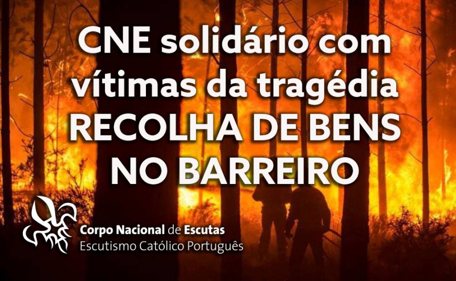 Barreiro - CNE solidário com vítimas da tragédia Recolha de alimentos e roupas