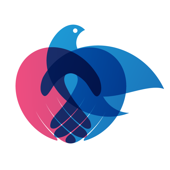 UDIPSS de Setúbal promove Sessão de Informação Sobre Adenda ao Acordo de Cooperação 2022-2023
