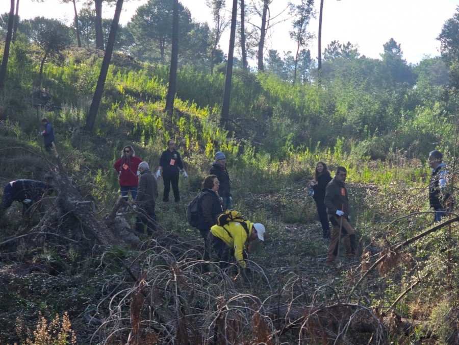 Barreiro - Na Mata da Machada Escuteiros da Fraternidade Nuno Álvares Comemoram o Dia da Floresta Autóctone com a atividade «Zebro»