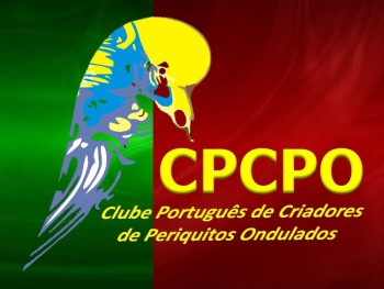 Cidade do Barreiro adoptada como casa dos criadores portugueses CPCPO - Clube Português de Criadores de Periquitos Ondulados