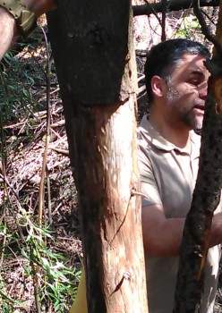 Barreiro - Ecobrown 2017 na Mata da Machada Dia dedicado à extinção de espécies invasoras na flora local