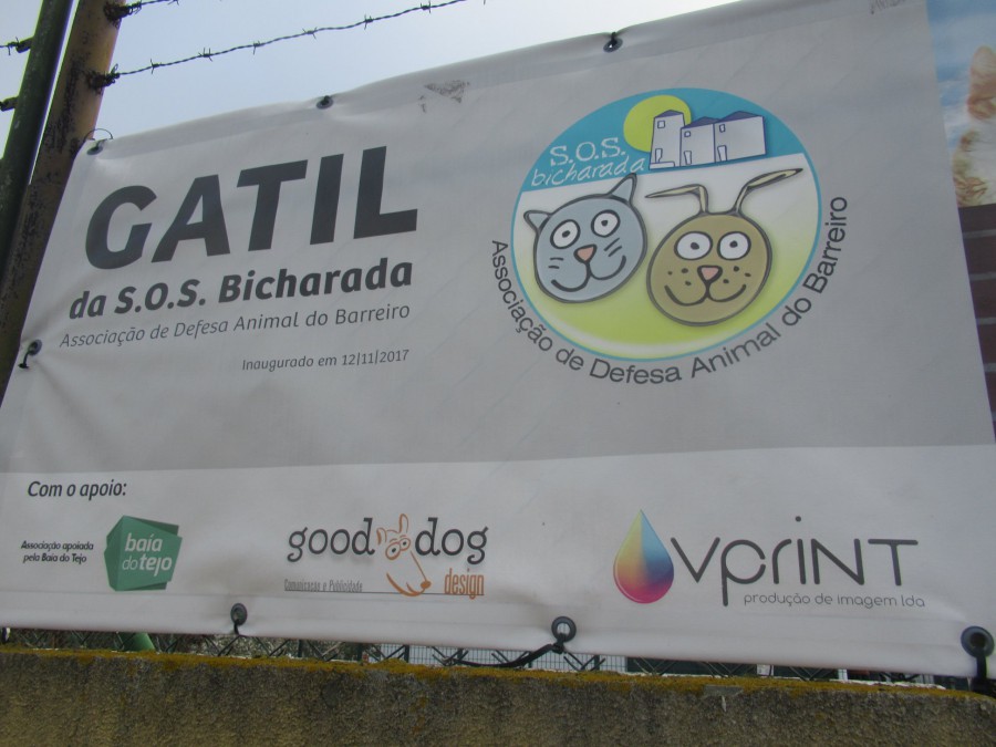 SOS Bicharada - Associação de Defesa Animal do Barreiro Elegeu novos Corpos Sociais