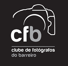 Clube de Fotógrafos do Barreiro Anabela Carreira reeleita presidente da direcção