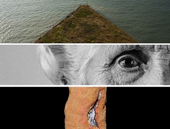 Exposições temporárias no MAEDS em Setúbal Inauguração no dia 19 de Julho, 21h30 . Imagens do Barreiro