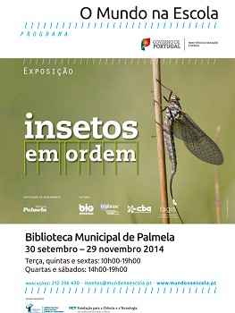 A partir de 27 de setembro na Biblioteca de Palmela Exposição Insetos em Ordem desafia visitantes a serem «biólogos por uma hora»