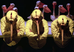 Programação Artemrede Marionetas no Auditório Augusto Cabrita