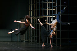 Na Baixa da Banheira Companhia Portuguesa de Bailado Contemporâneo apresenta bailado “AmarAmália”