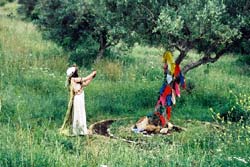 Teatro o bando – Palmela “Terra” : seis espaços cénicos integrados na natureza