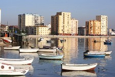 Crónica De uma Breve Viagem ao Barreiro - Verderena - O que devemos salvaguardar?
