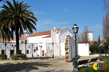 Crónica de uma Breve Viagem ao Barreiro Alto do Seixalinho