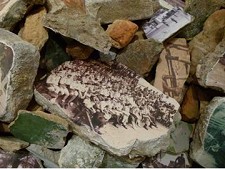 Museu de Arqueologia e Etnografia do Distrito de Setúbal Exposição «BEYOND THE GRAVE»