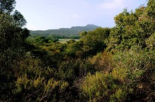 Parque Arqueológico da Arrábida Câmaras de Sesimbra e Setúbal, Faculdade de Belas-artes e Casa de Calhariz assinam protocolo