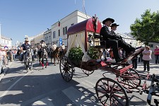 Romaria a Cavalo Moita – Viana do Alentejo distinguida com prémio «Mais Tradição»