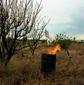 O FOTOGRÁFICO” CURSO DE FOTOGRAFIA NO BARREIRO