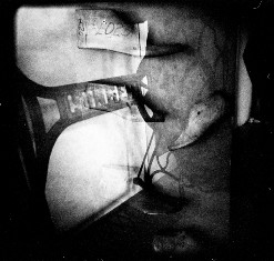 Auditório Municipal Augusto Cabrita - Barreiro «Polaroid Park» Coletiva de Fotografia . «A Shoe Story» de Magda Fernandes e José Domingos