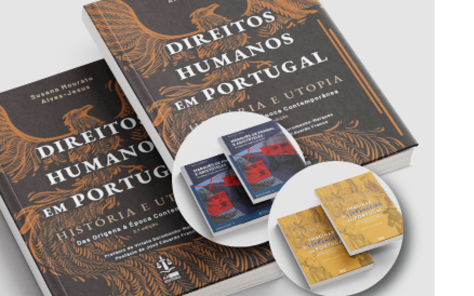 Na Biblioteca Municipal de Palmela Apresentação de livro «Direitos Humanos em Portugal - História e Utopia», de Susana Mourato Alves-Jesus