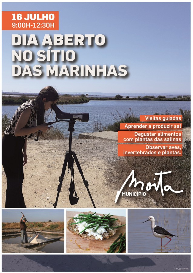 MOITA - Potencialidades das plantas das salinas em destaque DIA ABERTO NO SÍTIO DAS MARINHAS