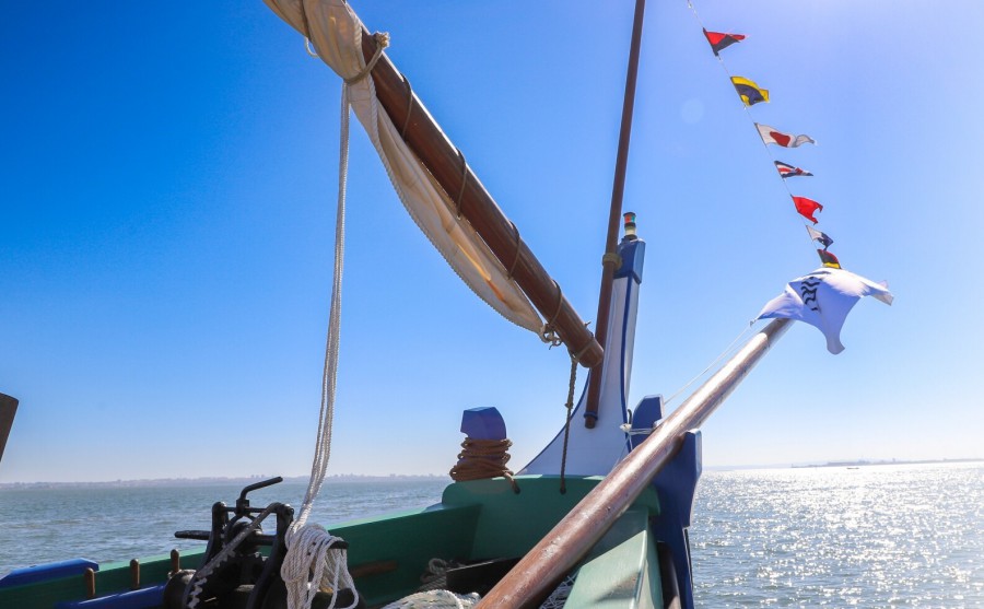 BARREIRO - Entre os dias 24 e 29 de agosto. Passeios na embarcação tradicional Muleta Álvaro Velho