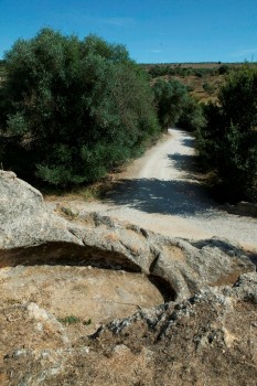 No Dia Internacional e Noite dos Museus em Palmela Assinala os 140 anos da descoberta das Grutas Artificiais de Quinta do Anjo