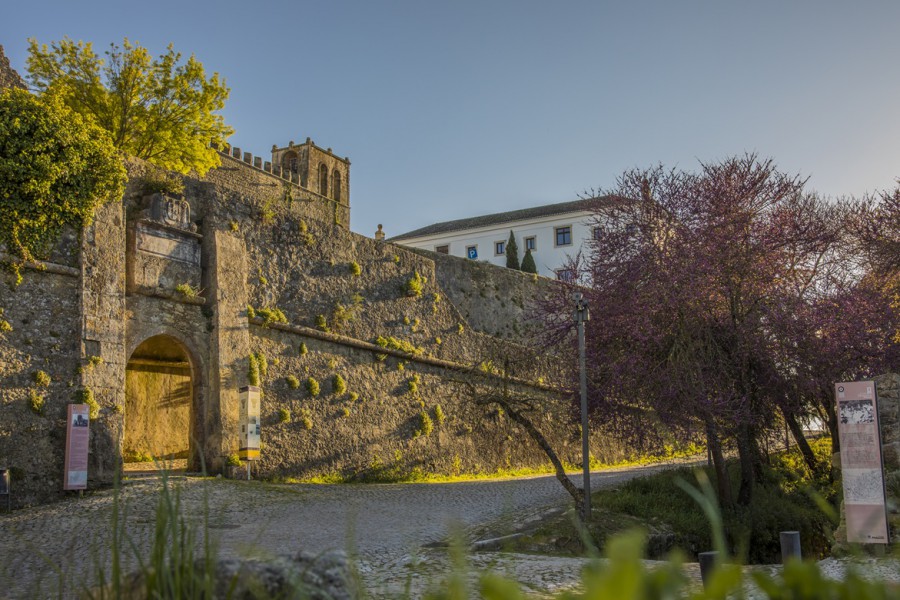 Visita orientada ao Centro Histórico e Castelo de Palmela 1.ª visita do ano a 2 de março – inscreva-se!