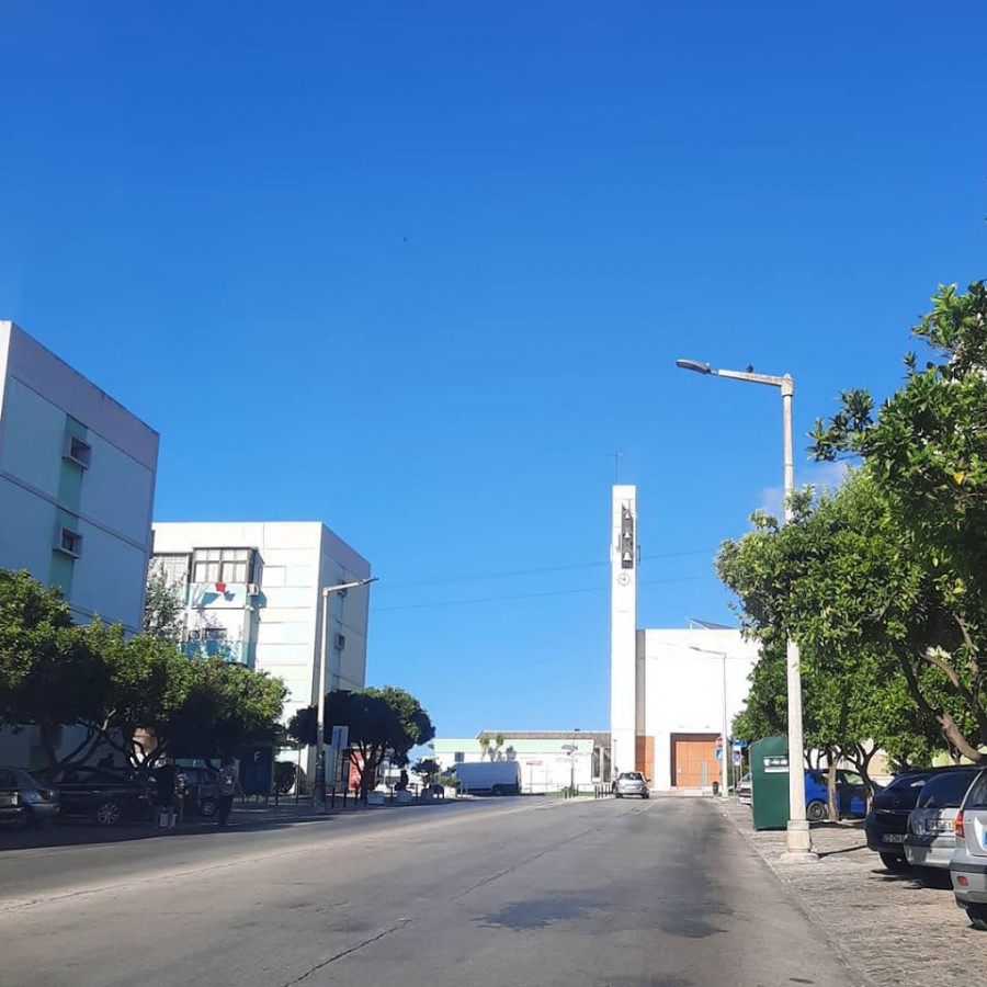 Barreiro - Reforço das ações preventivas de desinfestação Condicionamento de Trânsito