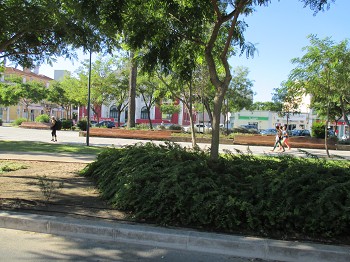 Regulamento das Hortas Urbanas de Setúbal Submetido a apreciação pública e de entidades específicas do setor