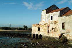 Barreiro Zonas junto aos rios Tejo e Coina analisadas