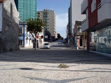 Câmara Municipal do Barreiro Aprova Protocolo Animação dos “Parques Vivos”
