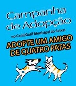 No Seixal Campanha de adopção de animais