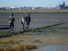 Barreiro volta a vigiar Orla Costeira Campanha ocorre em simultâneo em cerca de 23 países europeus