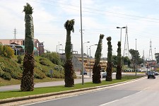 Requalificação de separadores centrai ~SETÚBAL Investimento da ordem dos 60 mil euros