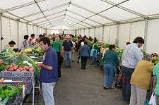 Em Setúbal - Mercado do Livramento Instalações provisórias registam boa afluência de clientes