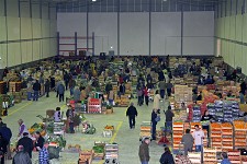 Mercado Abastecedor de Setúbal Aumento de 7,5 por cento no número de comerciantes