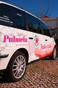 Projecto Periphéria em Palmela Autarquia recebe parceiros europeus para reunião de trabalho
