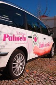 Projecto Periphéria em Palmela Autarquia recebe parceiros europeus para reunião de trabalho