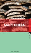 «Maré Cheia» da Moita apresenta vídeo- reportagem