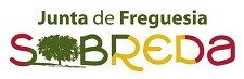 Curso Tecnológico de Desporto da Escola Secundária Daniel Sampaio em Almada