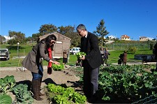 Horta Pedagógica Sénior do Barreiro Qualidade dos produtos biológicos provada e comprovada