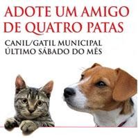 Adote Um Amigo de Quatro Patas em 2012 no Seixal