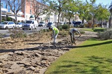 Ciclovia da Avenida Luísa Todi em Setúbal Repavimentação de toda a extensão com um percurso de cerca de 2350 metros
