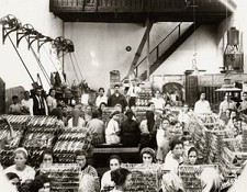 Exposição em Almada homenageia o Trabalho Rogério Ribeiro, Júlio Pomar, Álvaro Cunhal e Cândido Portinari