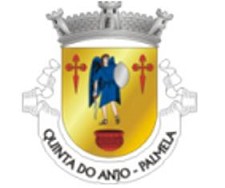 Freguesia de Quinta do Anjo - Palmela Deputados do PSD não podem impor reuniões aos Órgãos Autárquicos
