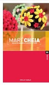 Maré Cheia de eventos, histórias e curiosidades do concelho da Moita Edição de maio já disponível