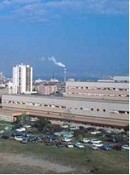 Observatório Municipal de Saúde do Barreiro HOJE SESSÃO EXTRAORDINÁRIA PÚBLICA
