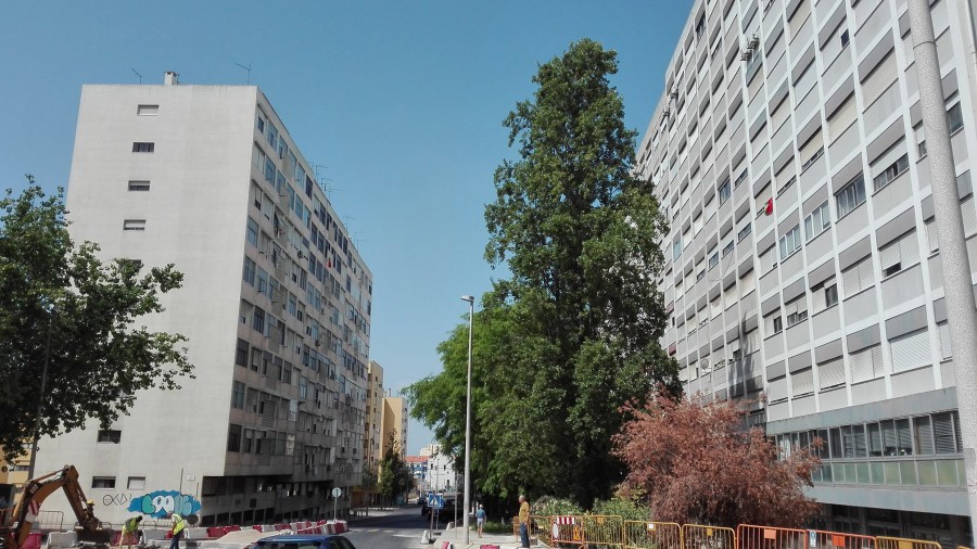 BARREIRO - CONDICIONAMENTO / CORTE DE TRÂNSITO Na Avenida do Bocage a partir de 21 de Junho